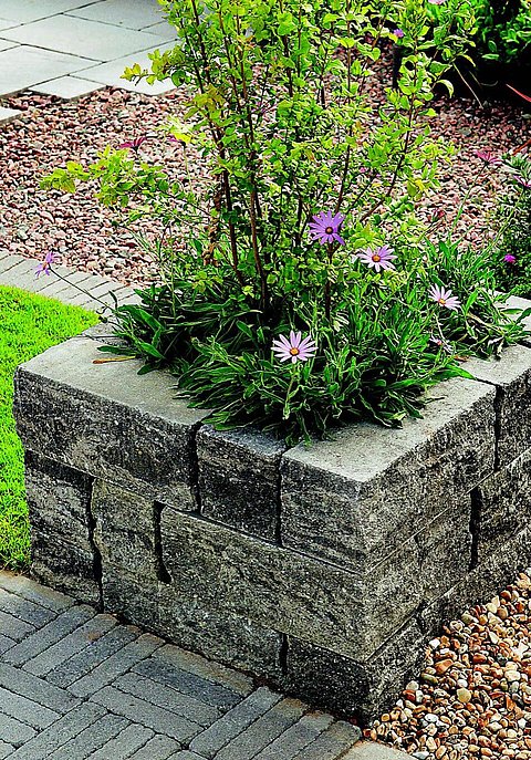 首页- Z6官网中国区人生就是博